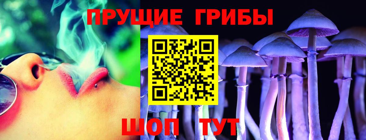 как найти закладки  Галлюциногенные грибы Psilocybe  Вход с VPN  Бузулук 